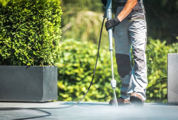 Best Roof Washing  in Far Hills, NJ
